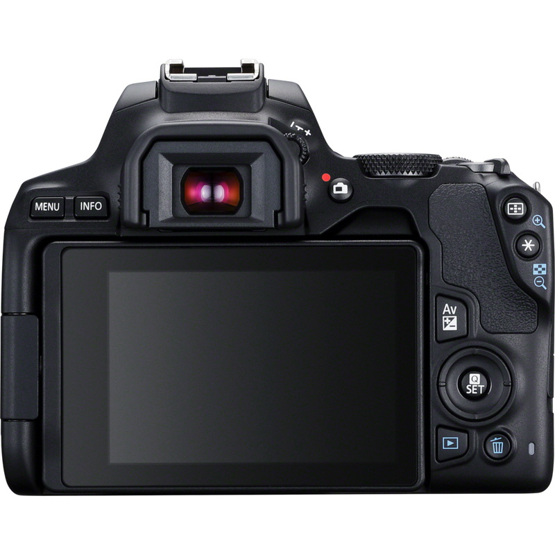 Canon 250D + EF-S 18-55mm f/3.5-5.6 III + EF 75-300mm f/4-5.6 III – image 6
