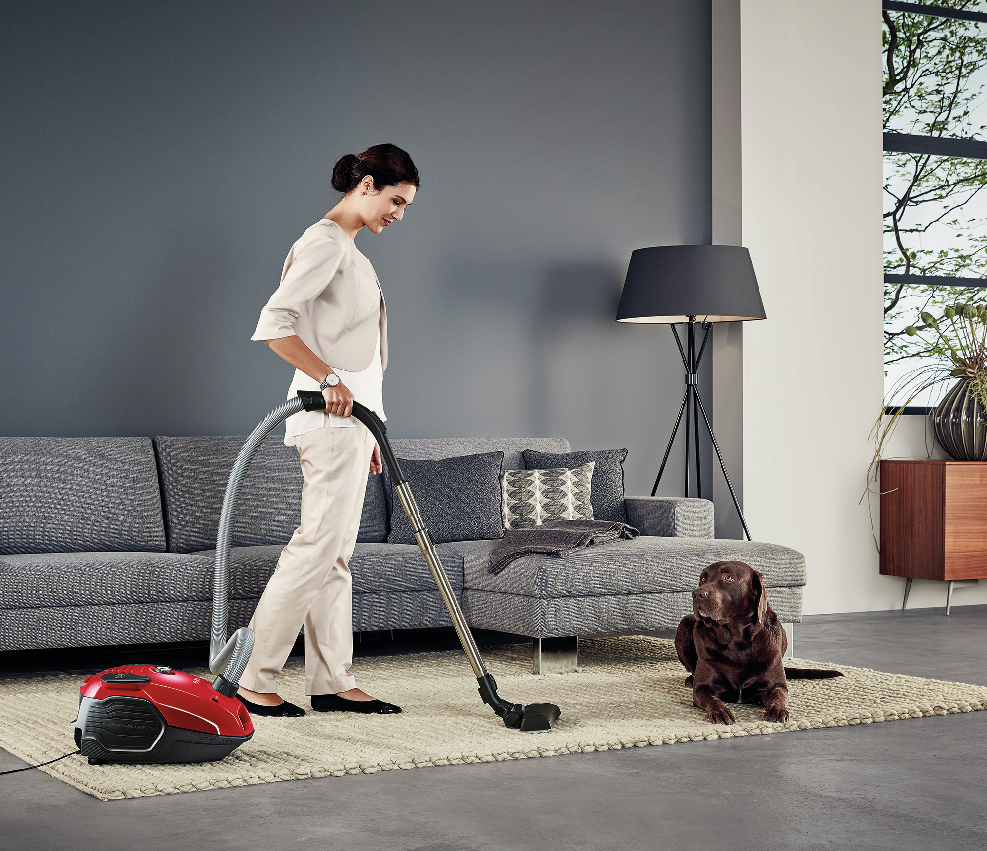 AEG VX6-1-LR 3.5 L Cylinder vacuum Dry 700 W Dust bag – image 4