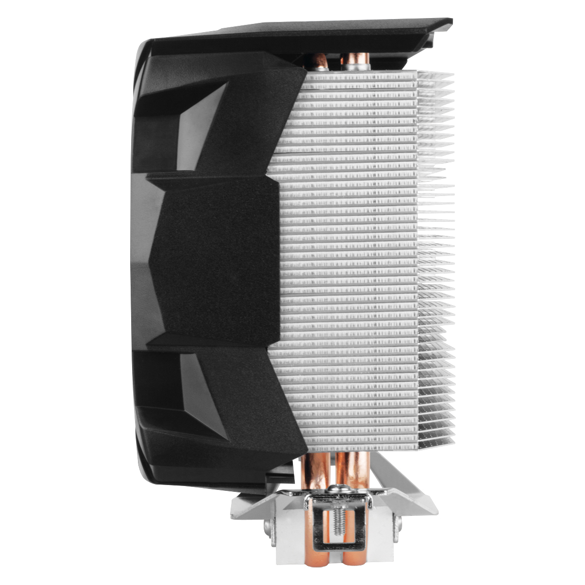 ARCTIC 7 X CO – image 4