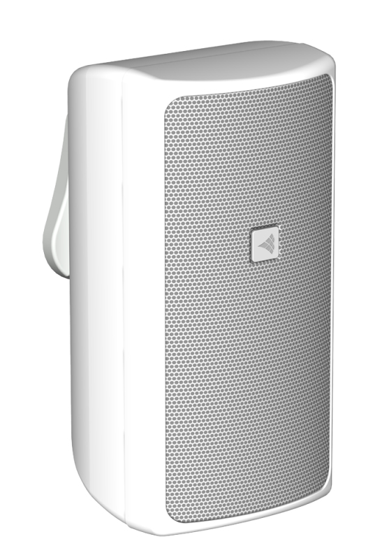 Biamp Desono DS5 Two-Way 5-inch High Output Surface Mount Loudspeaker White