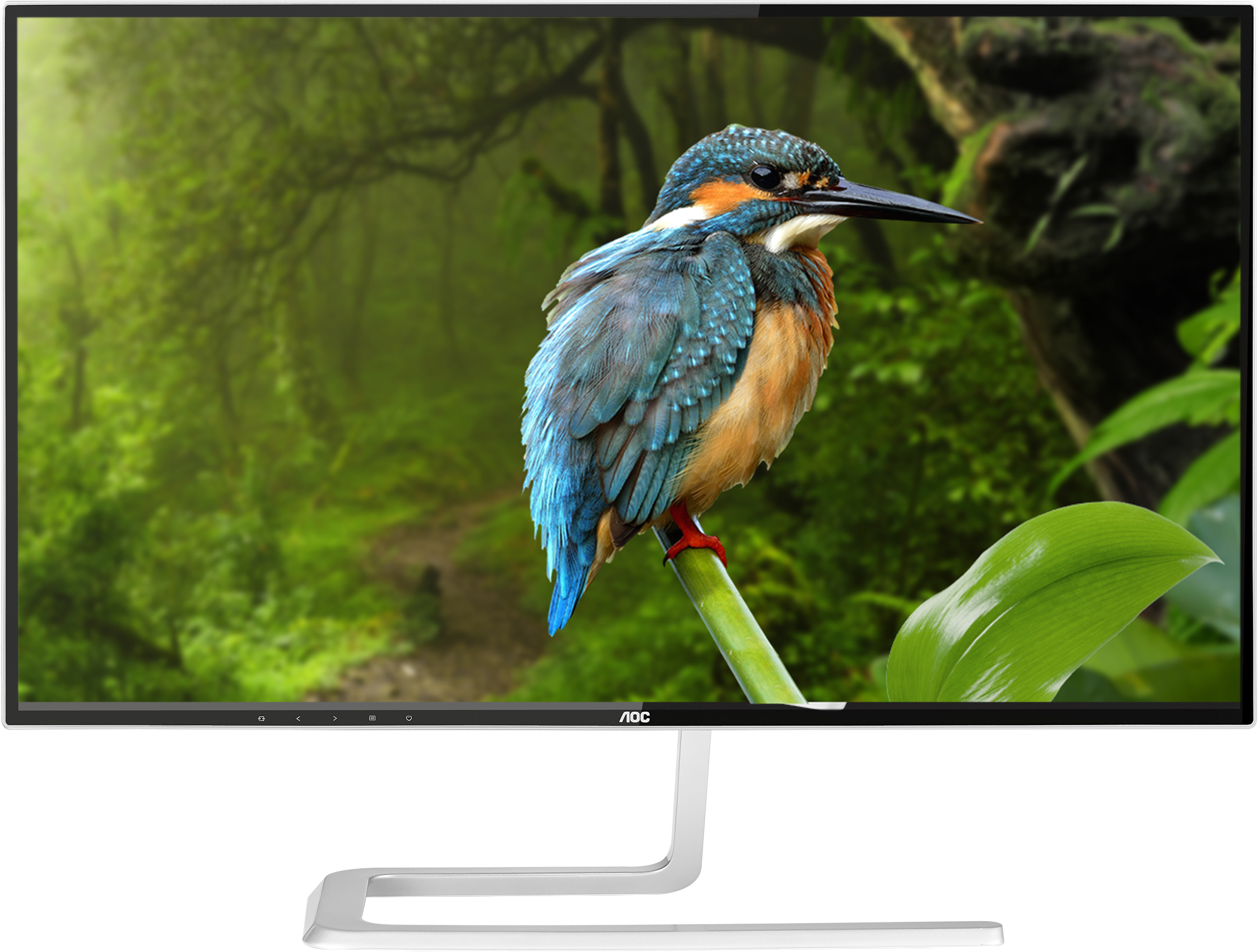 AOC 81 Series Q2781PQ computer monitor – image 7
