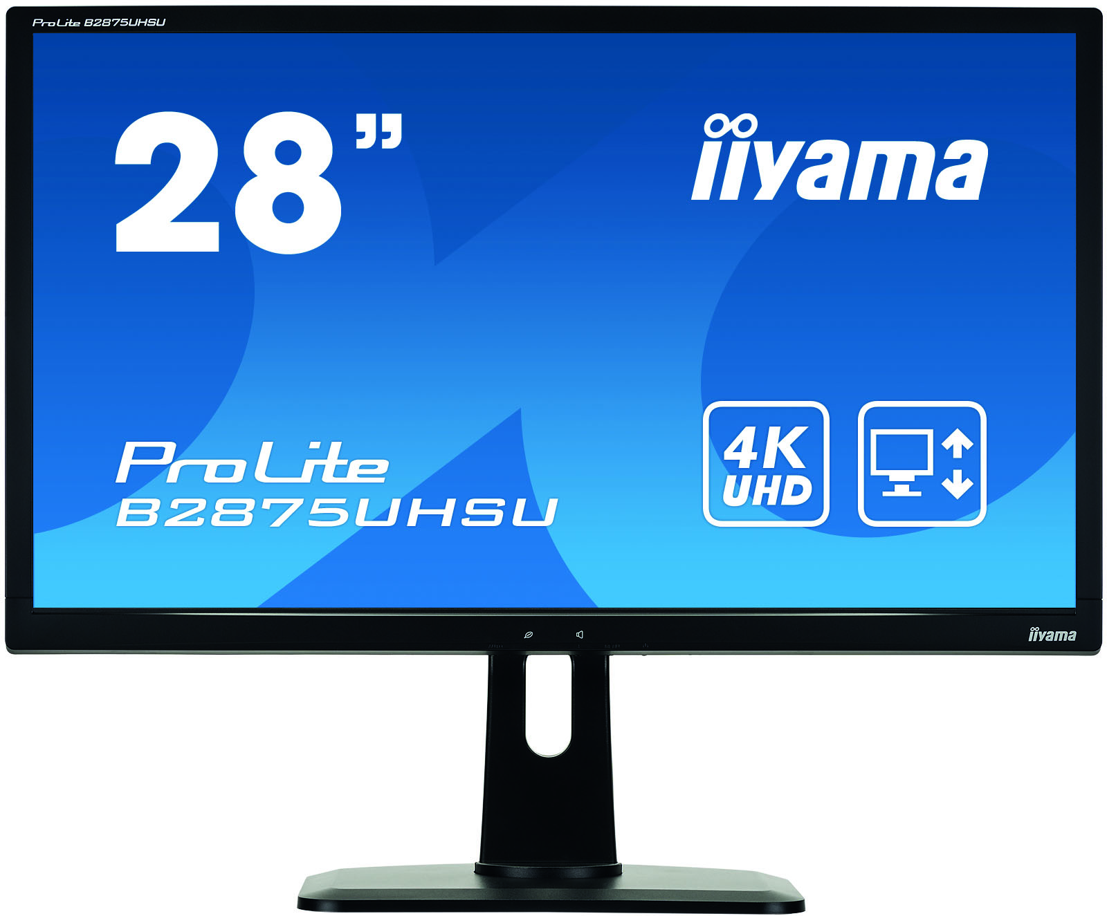 iiyama ProLite B2875UHSU-B1-STD computer monitor