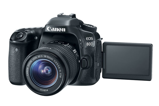Canon 80D + EF-S 18-55 IS STM – image 4
