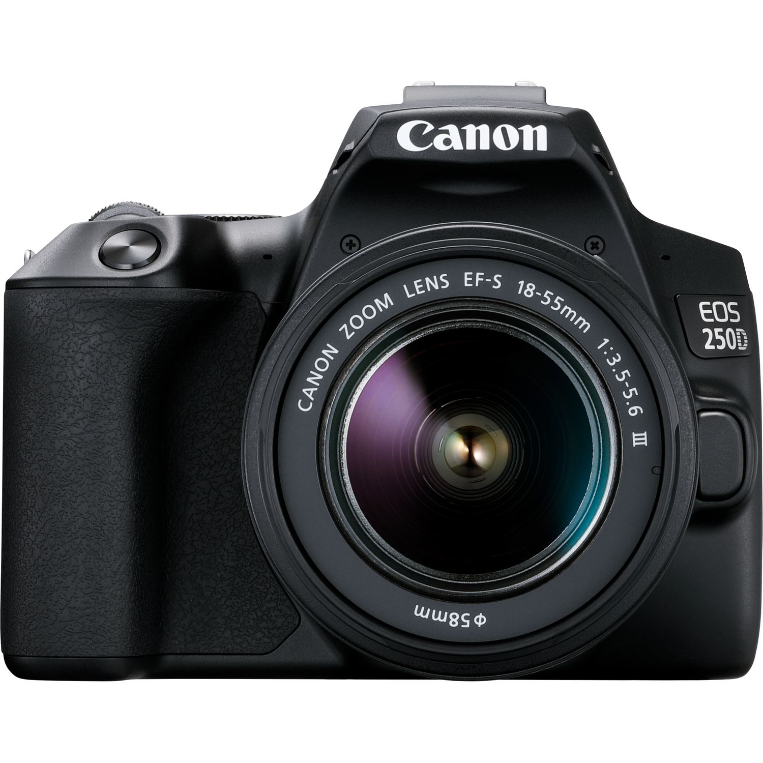 Canon 250D + EF-S 18-55mm f/3.5-5.6 III + SB130 – image 2