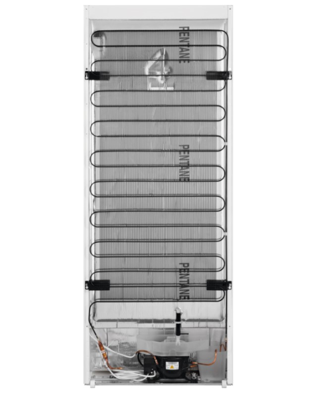 Electrolux LRB2DF32X fridge Freestanding – image 3