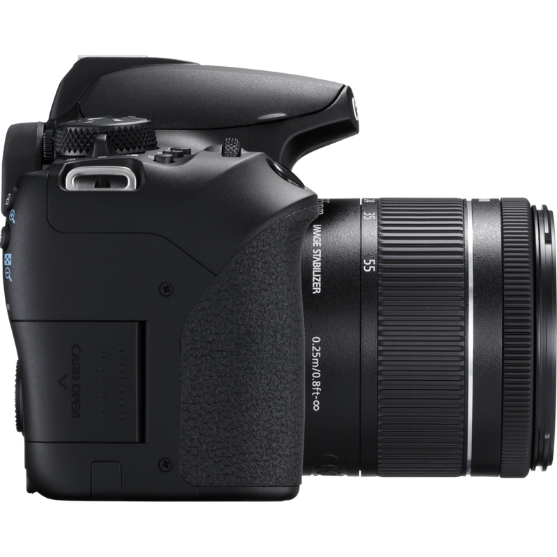 Canon 850D + EF-S 18-55mm f/4-5.6 IS STM – image 6