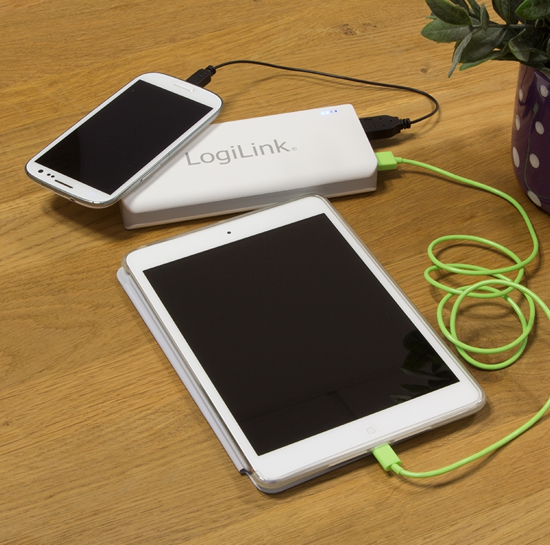 LogiLink PA0086 power bank Lithium – image 5