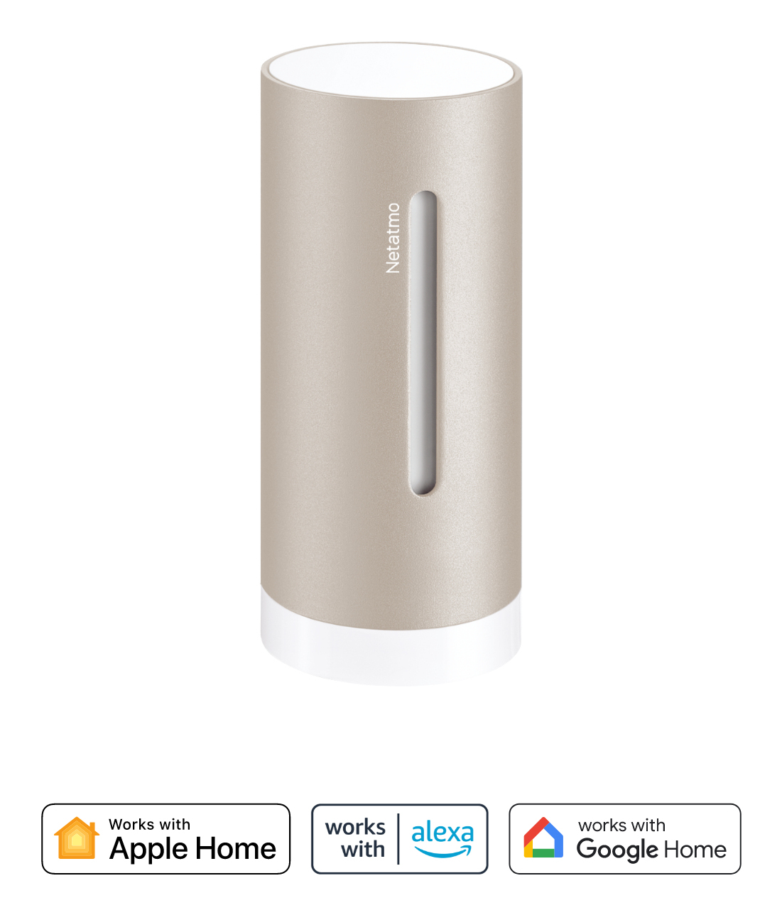 Netatmo NIM-S-WW stazione meteorologica digitale Grigio Batteria