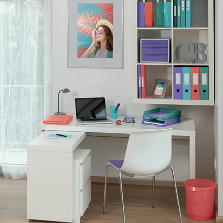 Esselte 628455 caja archivador Coral