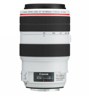 Canon 5D Mark II + EF 70-300mm f/4-5.6L IS USM – image 4