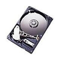 Hypertec 73GB SAS HDD