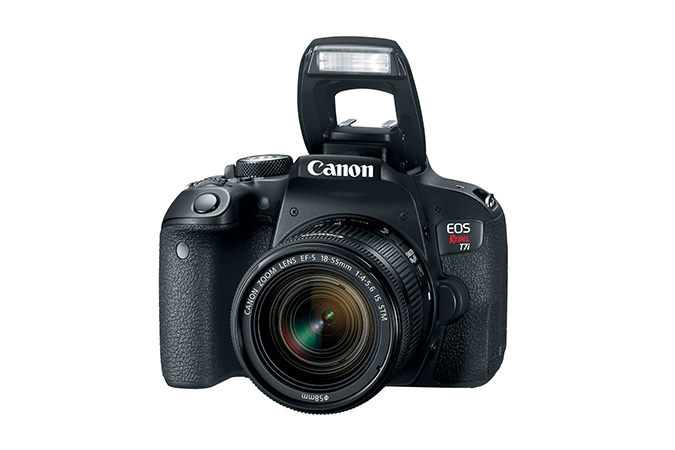 Canon EOS Rebel T7i + EF-S 18-55 IS STM – image 3