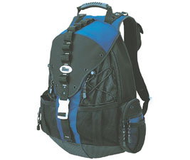 Targus 16" Sport Deluxe Backpack
