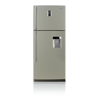 Samsung RT63PBPN Freestanding Platinum, Stainless steel