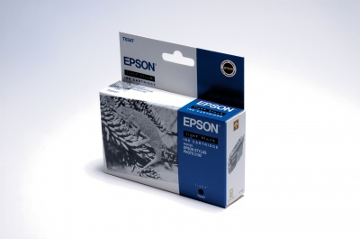 Epson Ink Cart light black 450sh StylusPho2100 – image 2