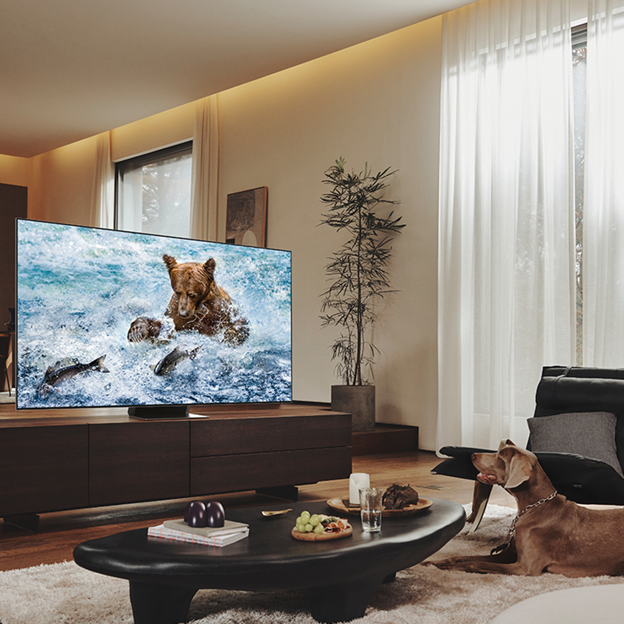 Samsung QE75QN700B 190.5 cm (75") 8K Ultra HD Smart TV Wi-Fi Stainless steel – image 4