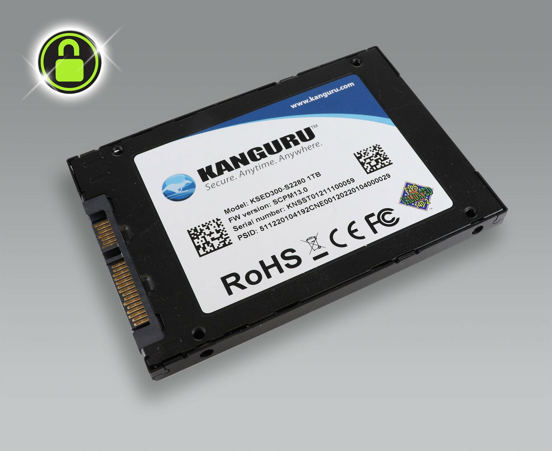 iStorage Kanguru Defender SED300 Hardware-Based Self-Encrypting Internal SATA SSD 1 TB | FIPS 140-2 Level 2 Certified | Self-Encrypting 2.5” SATA SSD |TAA Compliant image 4