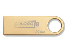 Kingston Technology GE9 16GB Co-Logo