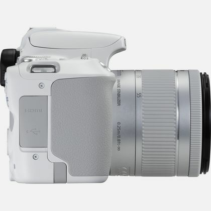 Canon EOS 200D + 18-55 IS STM – image 4