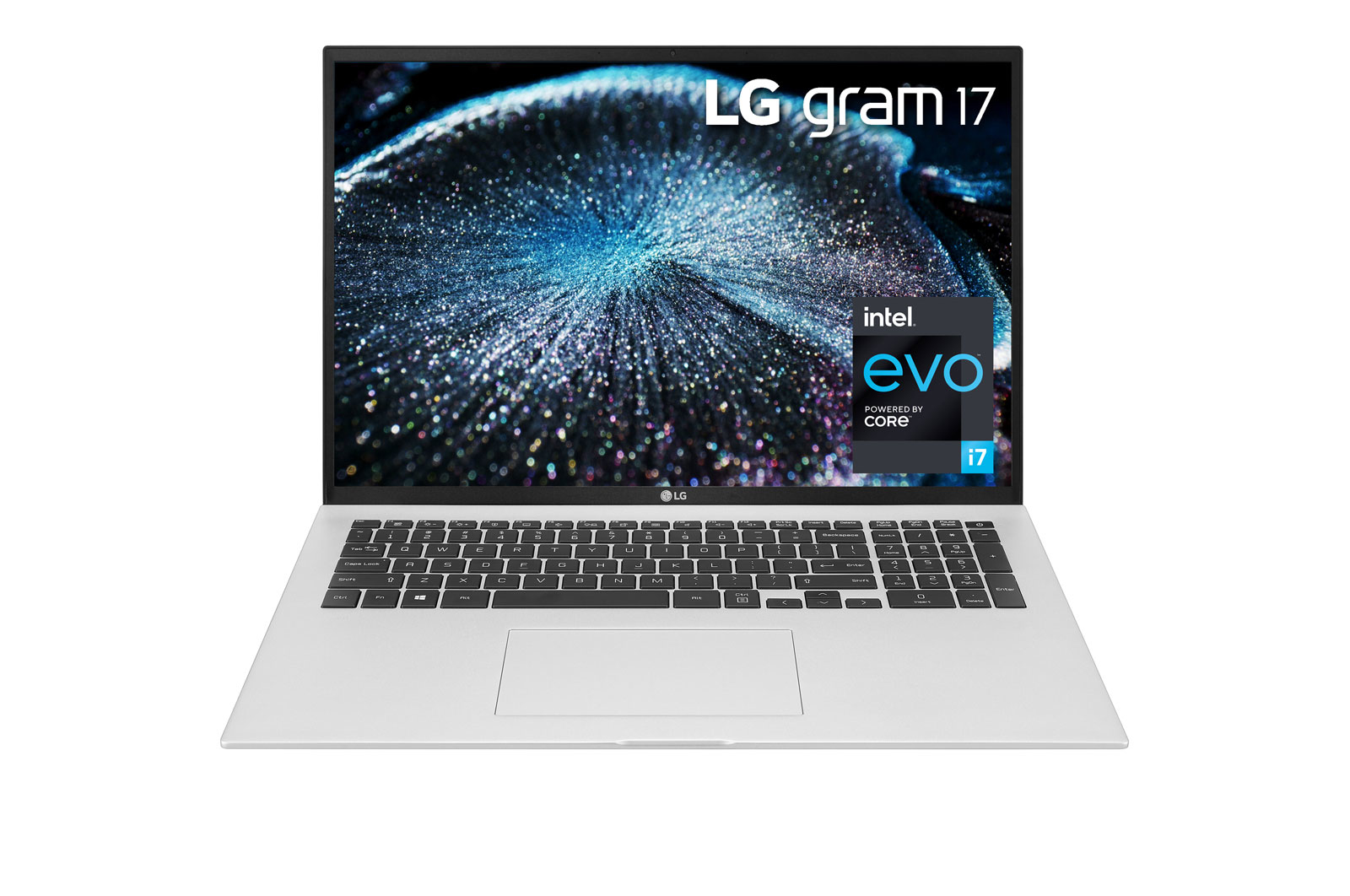 LG Gram 17Z90P-K.AAS9U1 laptop Intel® Core™ i7 i7-1165G7