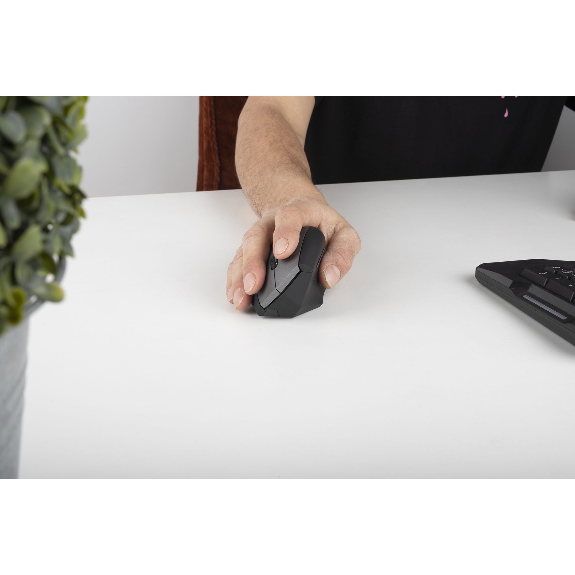 NGS EVO ZEN – image 9
