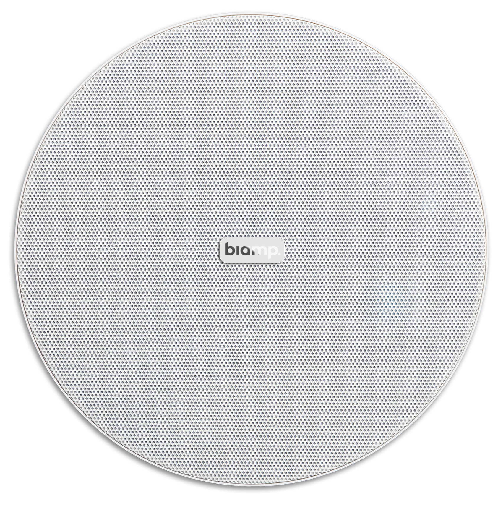 Biamp CM20DT 2-way White Wired