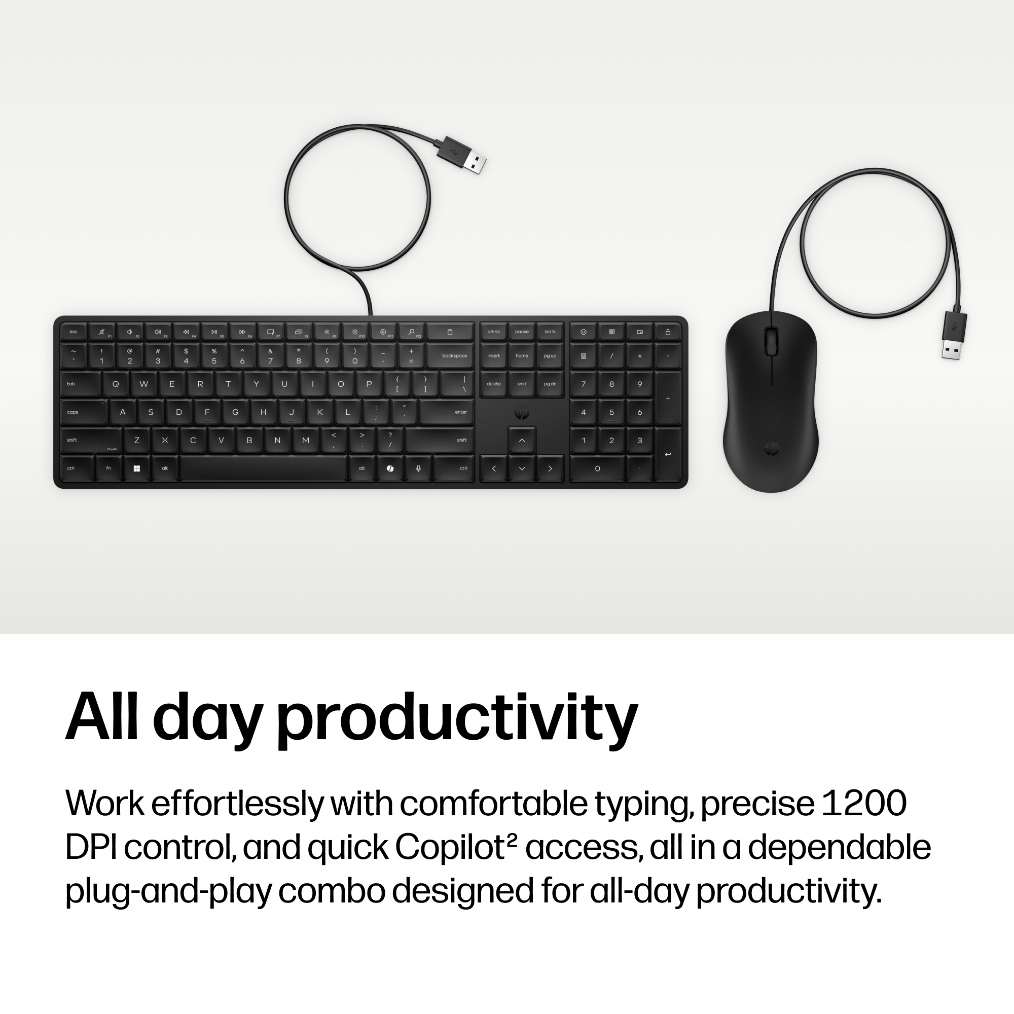 HP 170C Wired Mouse and Keyboard Combo – image 2