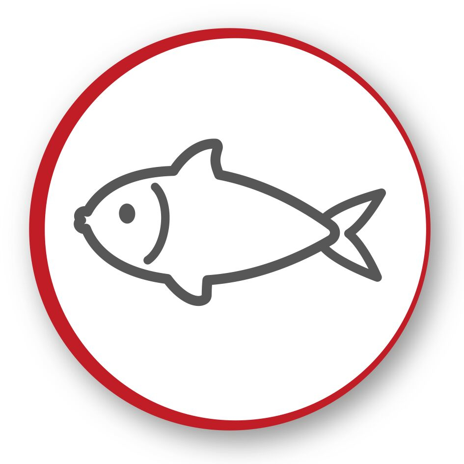Moulinex EZ3018 Single – image 7