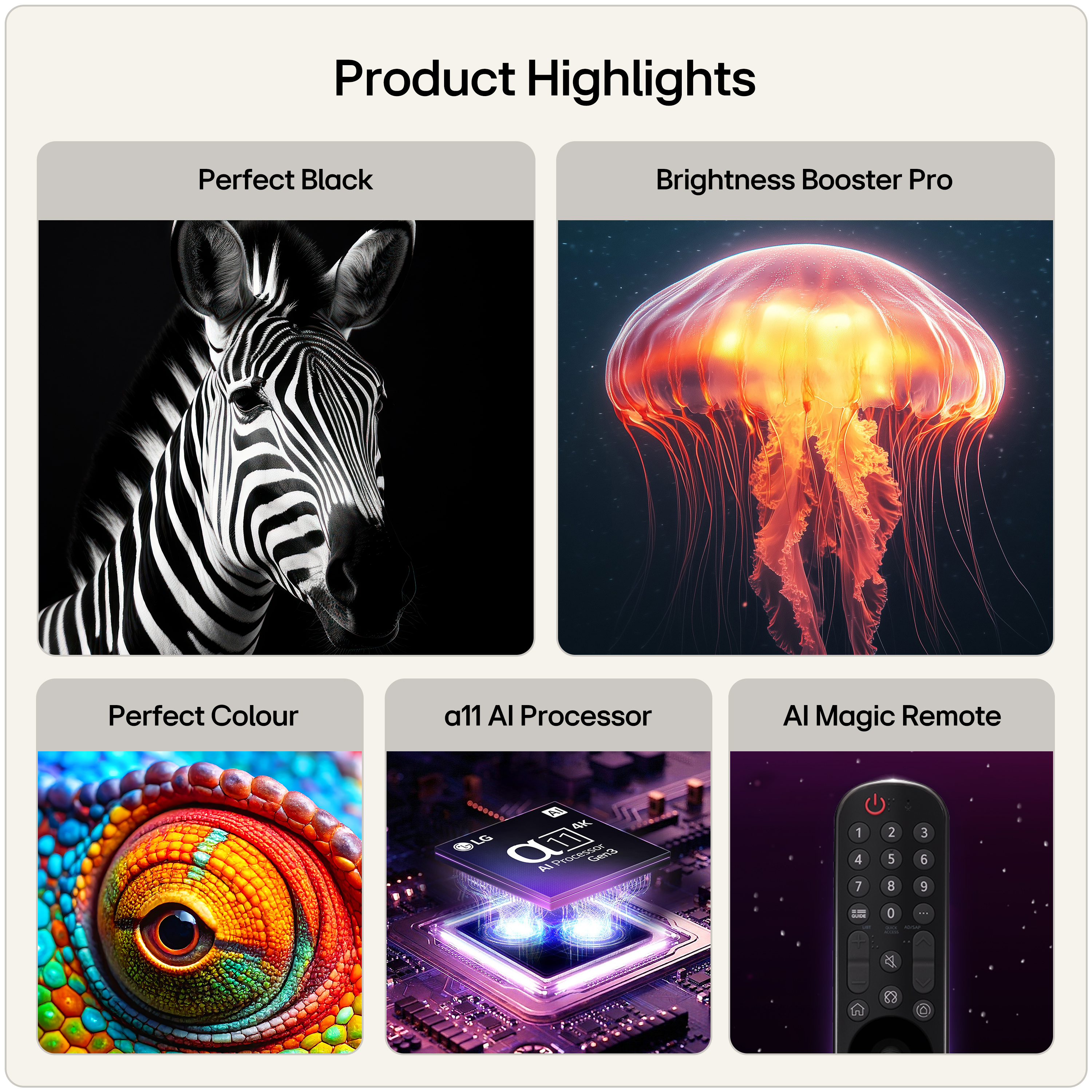 Product Gallery