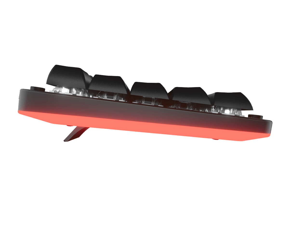 COUGAR PURI MINI – image 6