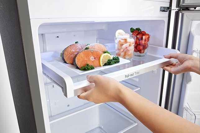 LG GR5511PS fridge-freezer Freestanding – image 4