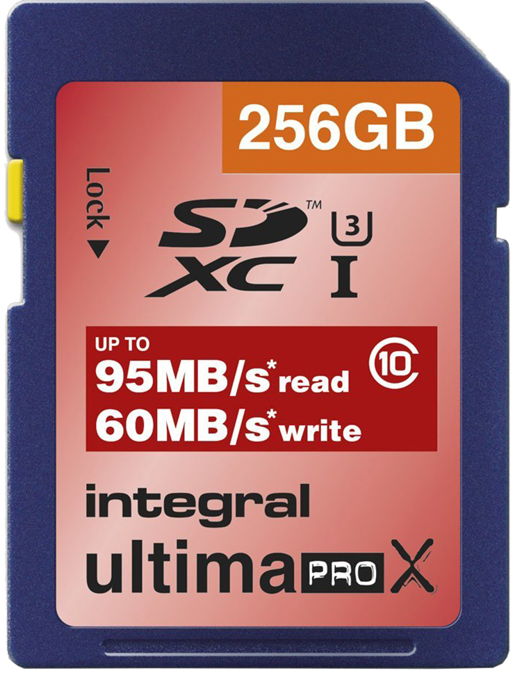 Integral INSDX256G10-95/60U1 – image 1