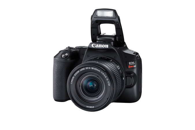 Canon Rebel SL3 + EF-S 18-55mm IS STM – image 5