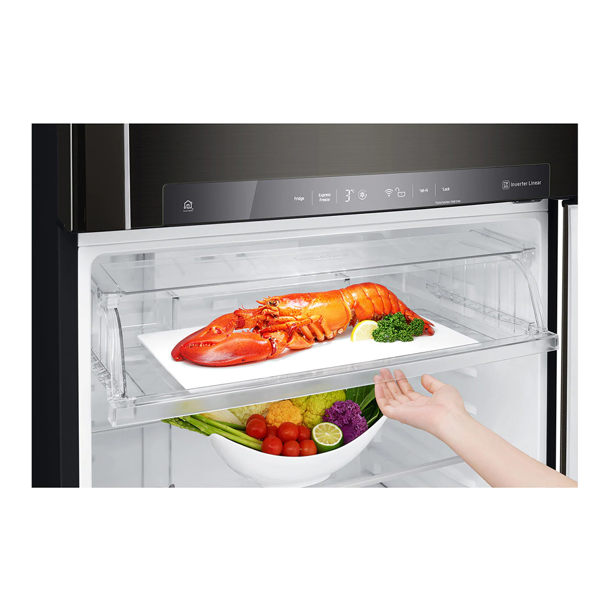 LG GTF744BLPZD fridge-freezer Freestanding – image 6