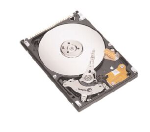 Seagate MOMENTUS 5400.2 100GB