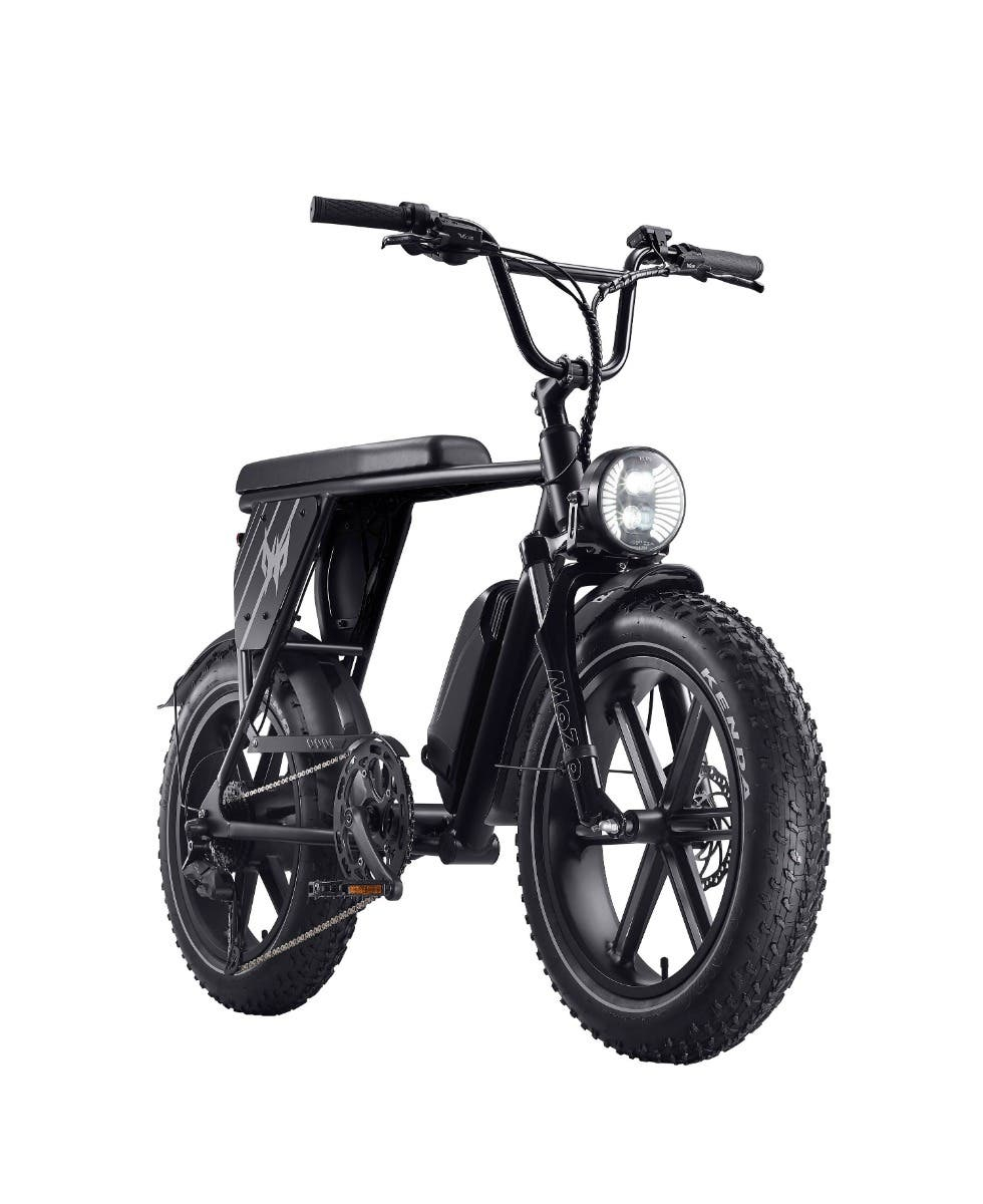 Acer Predator eNomad-R eBike – image 2