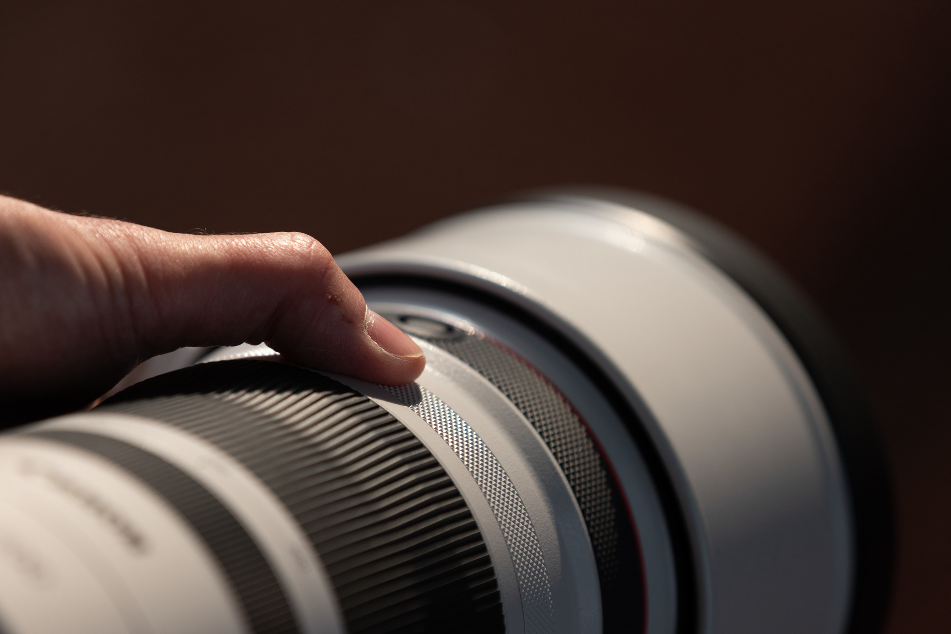 Canon RF 100-300mm F2.8 L IS USM – image 7