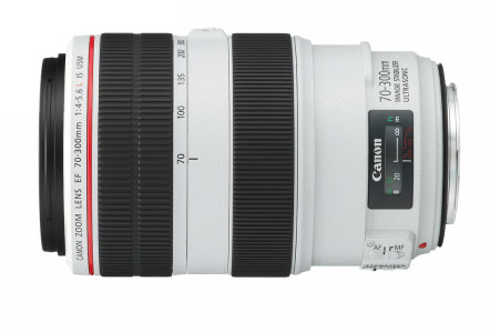 Canon 5D Mark II + EF 70-300mm f/4-5.6L IS USM – image 5