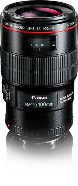 Canon EF 100mm f/2.8L IS USM Macro