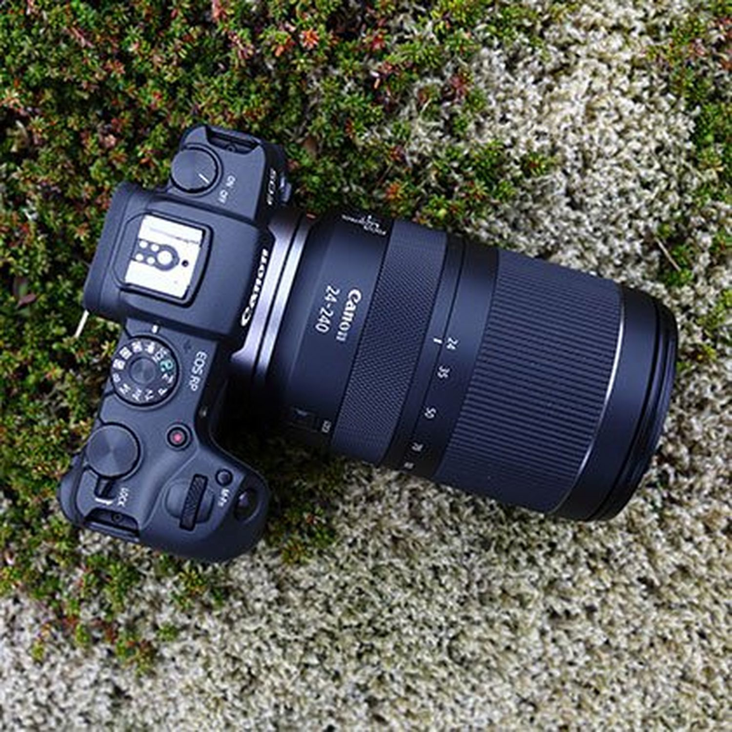 Canon RP + RF 24-240mm f/4-6.3 IS USM – image 7