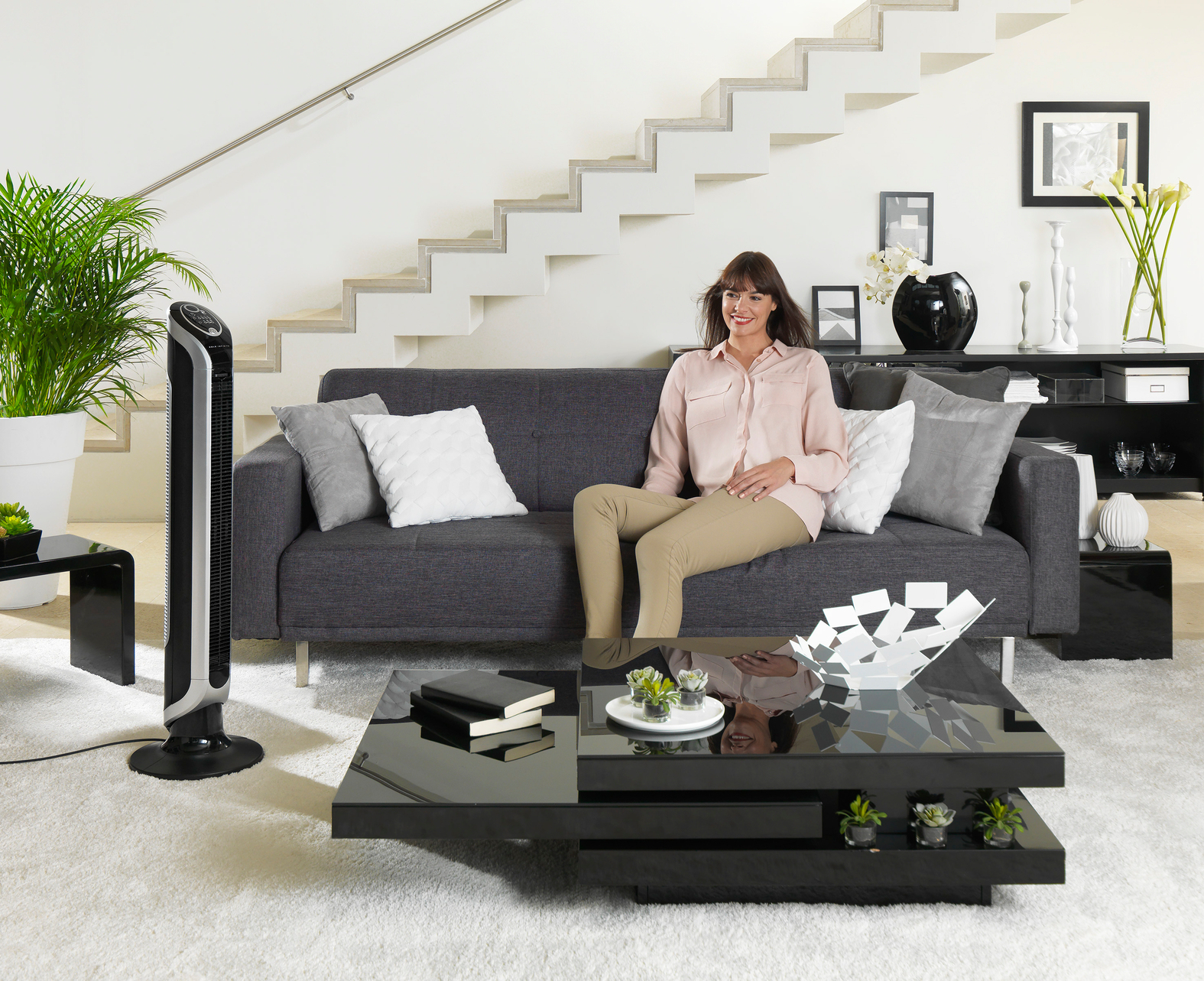 Rowenta Eole VU6620 Black, Silver – image 9