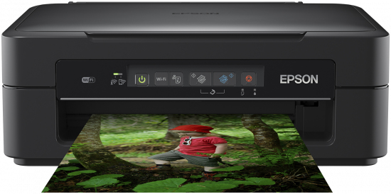 Epson Expression Home XP-255 – image 2