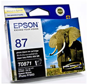 Epson UltraChrome Hi-Gloss2 Photo Black Ink Cartridge