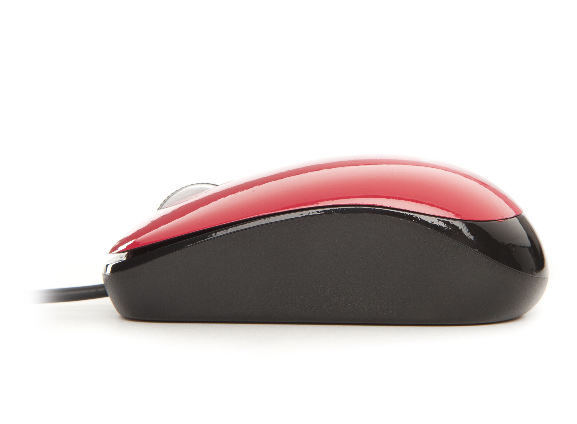 NGS Rubine Flavour – image 4
