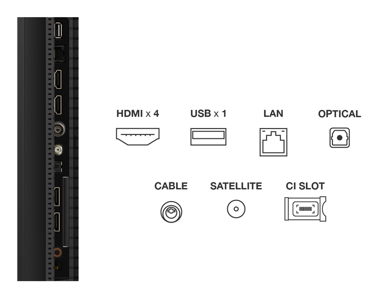 TV Mini Led TCL 50C69K 2025 50 pouces (126cm) — photo 4