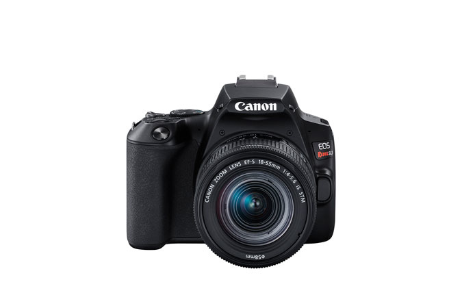 Canon Rebel SL3 + EF-S 18-55mm IS STM – image 2
