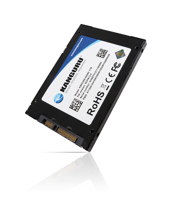 iStorage Kanguru Defender SED300 Hardware-Based Self-Encrypting Internal SATA SSD 1 TB | FIPS 140-2 Level 2 Certified | Self-Encrypting 2.5” SATA SSD |TAA Compliant image 3