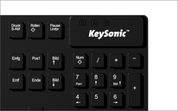 KeySonic KSK-8030IN keyboard Universal USB QWERTY English Black – image 4