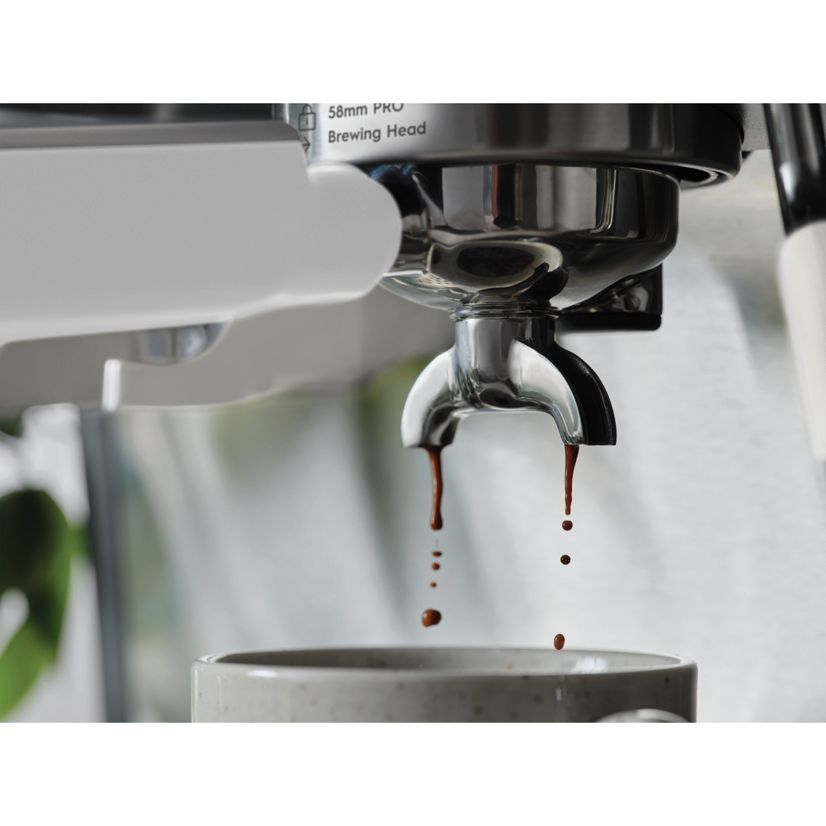 Electrolux E8EC1-8SW coffee maker Manual Espresso machine – image 5