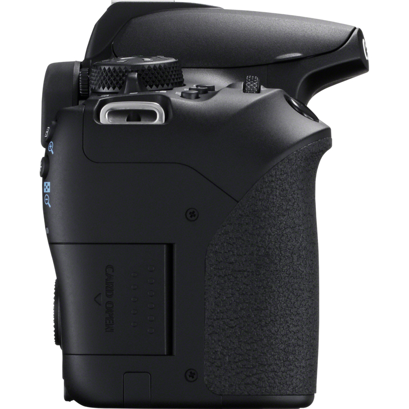Canon 850D + EF-S 18-135mm f/3.5-5.6 IS USM – image 7
